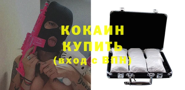 крисы Зерноград