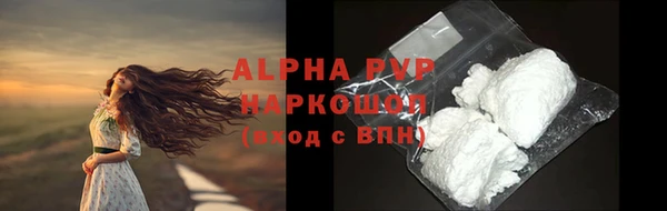 крисы Зерноград