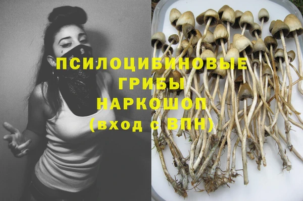 крисы Зерноград