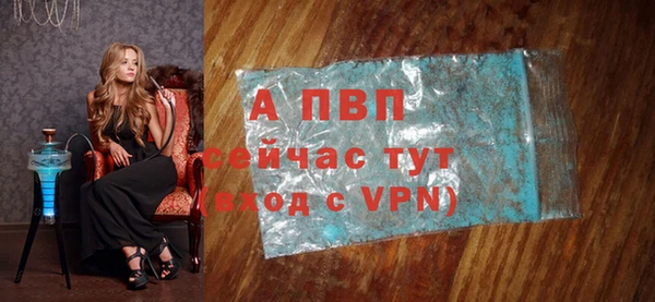 крисы Зерноград