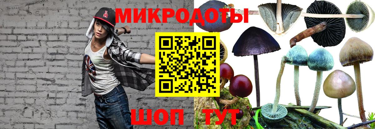 Псилоцибиновые грибы ЛСД  Вход с VPN  Железноводск 
