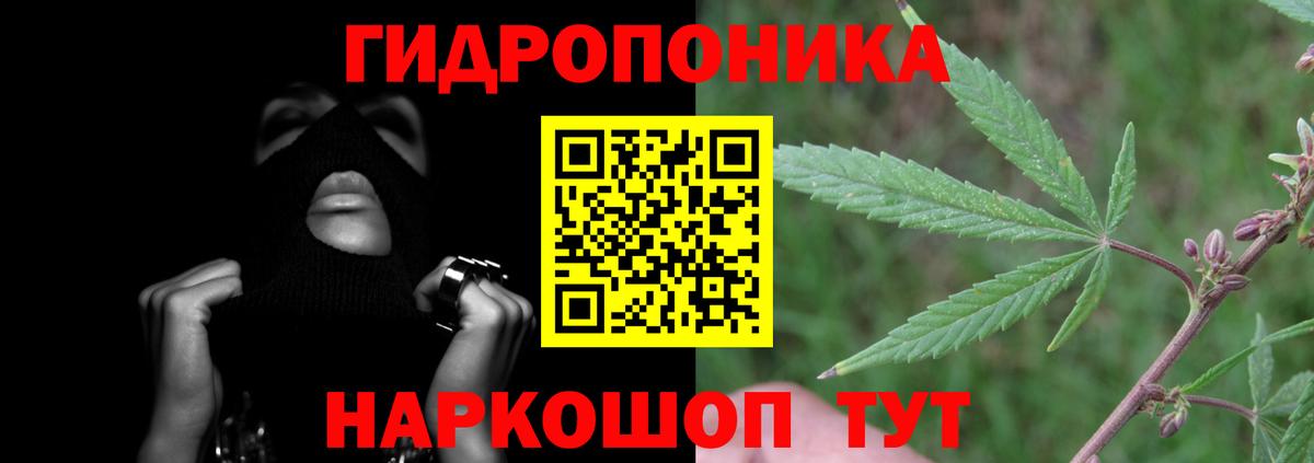 Конопля план Железноводск